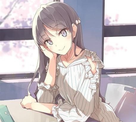 青春猪头少年不会梦到圣诞服女郎