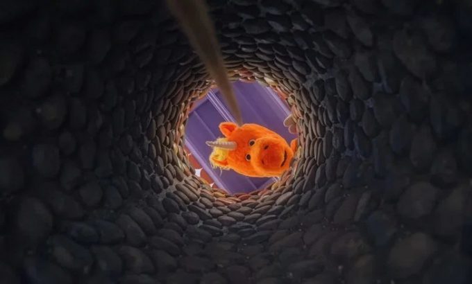 逃出布迪秀